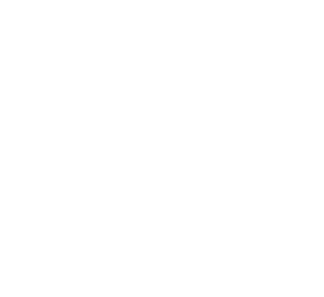 Government of San Juan del Río